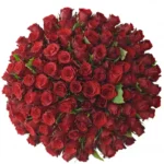 kytice-100-rudych-ruzi-red-torch-070bu-1